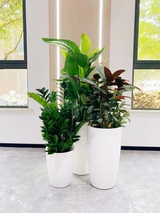 海曙绿化养护秘籍大公开，这家公司超厉害！